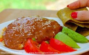 Photo of mole for mexican food fiesta